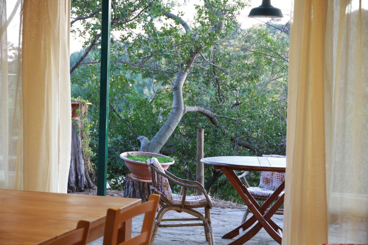 Villa Giulia Al Mare Castiglione della Pescaia Exterior photo